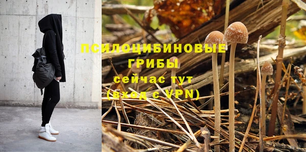 Альфа ПВП Карпинск