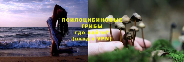 крисы Карталы