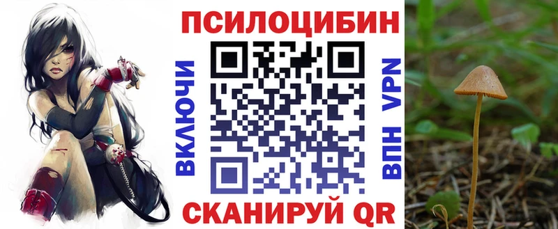 Купить где  Донецк  Галлюциногенные грибы мицелий 